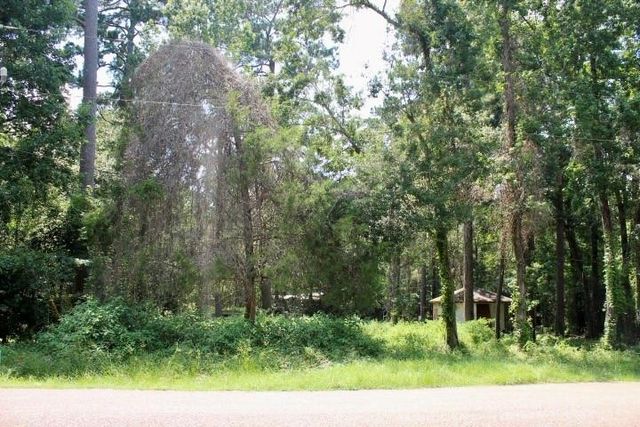 410 Dogwood Trail, Conroe, TX 77316