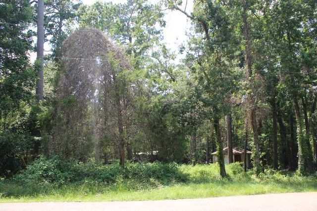 410 Dogwood Trail, Conroe, TX 77316