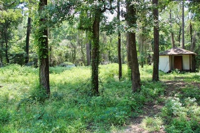 410 Dogwood Trail, Conroe, TX 77316
