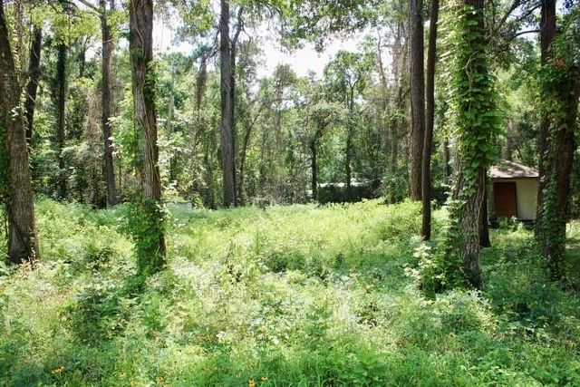 410 Dogwood Trail, Conroe, TX 77316