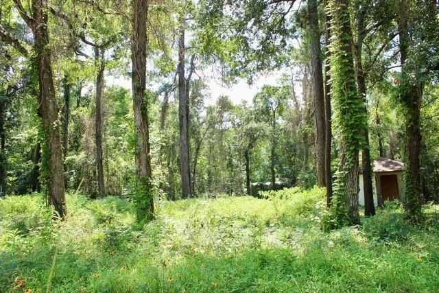 410 Dogwood Trail, Conroe, TX 77316