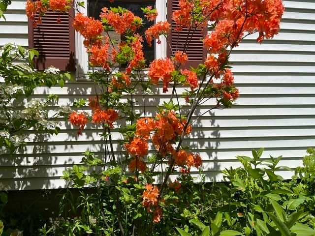 98 Greenleaf Street, Brattleboro, VT 05301