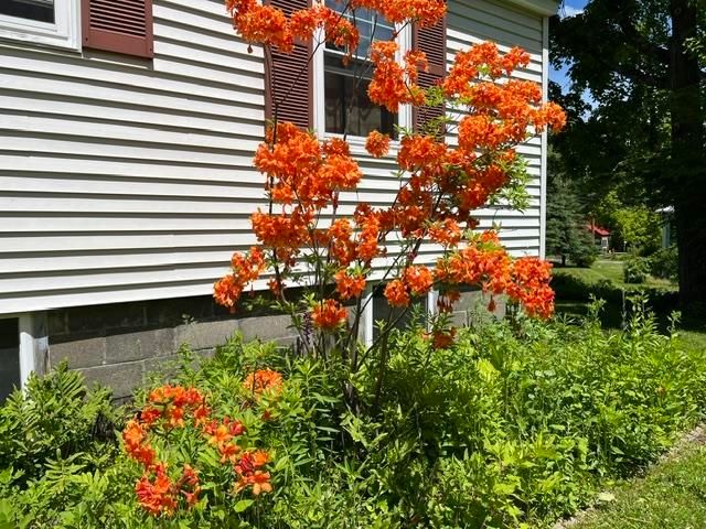 98 Greenleaf Street, Brattleboro, VT 05301