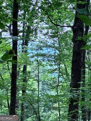 829 Morton Drive, Ellijay, GA 30540