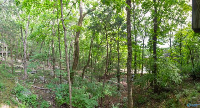 1618 Chandler Road SE, Huntsville, AL 35801