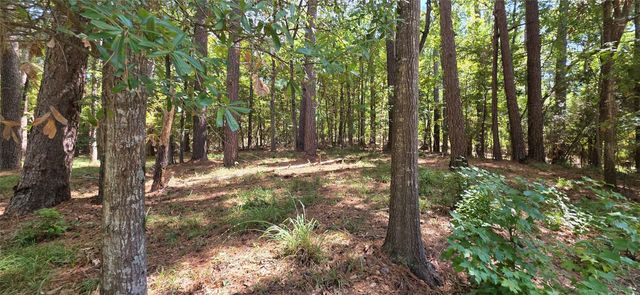 TBD Forest Hills Dr, Livingston, TX 77351