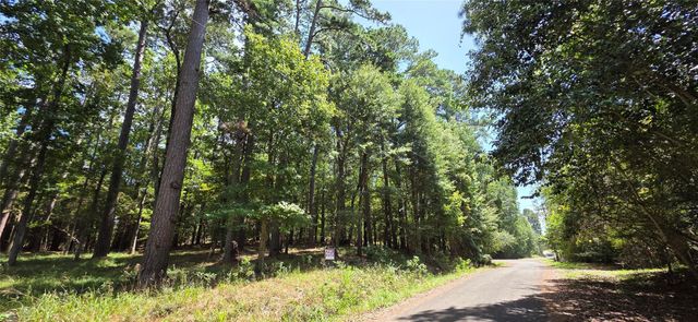 TBD Forest Hills Dr, Livingston, TX 77351