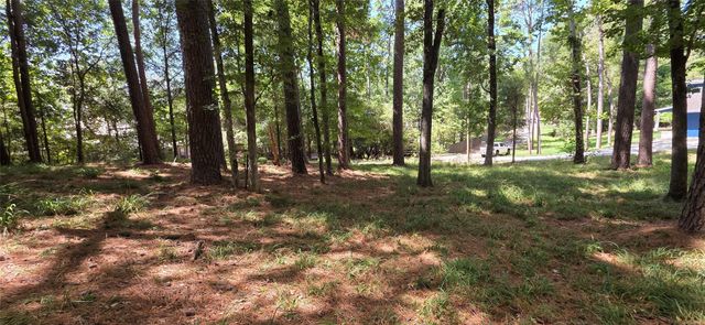 TBD Forest Hills Dr, Livingston, TX 77351