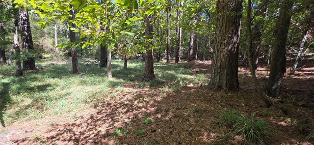 TBD Forest Hills Dr, Livingston, TX 77351