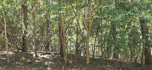 TBD Forest Hills Dr, Livingston, TX 77351