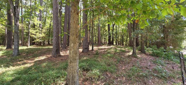 TBD Forest Hills Dr, Livingston, TX 77351