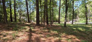 TBD Forest Hills Dr, Livingston, TX 77351