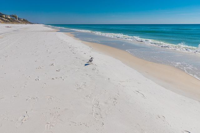 69 Blue Wave Drive, Santa Rosa Beach, FL 32459