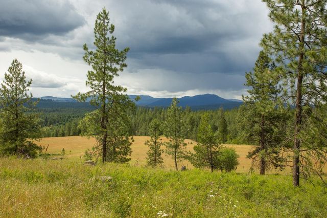 4110 Cemetery Rd, Springdale, WA 99137