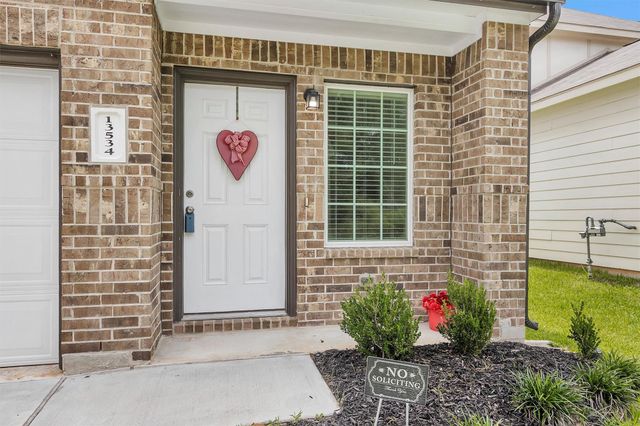 13534 Luke Prairie Court, Willis, TX 77378