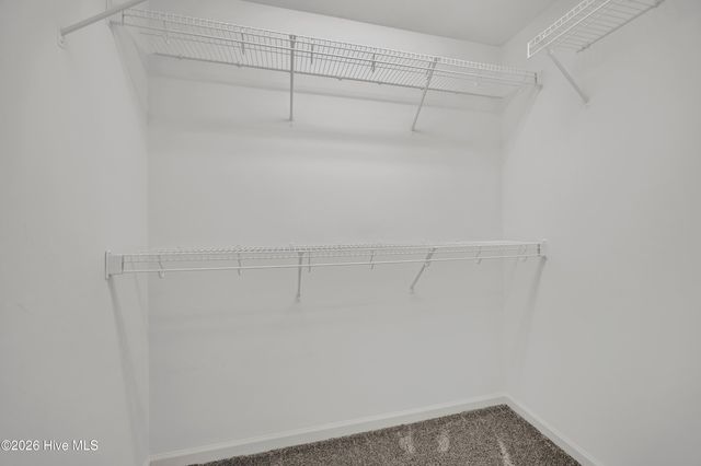 3805 Daphine Drive, Wilmington, NC 28409