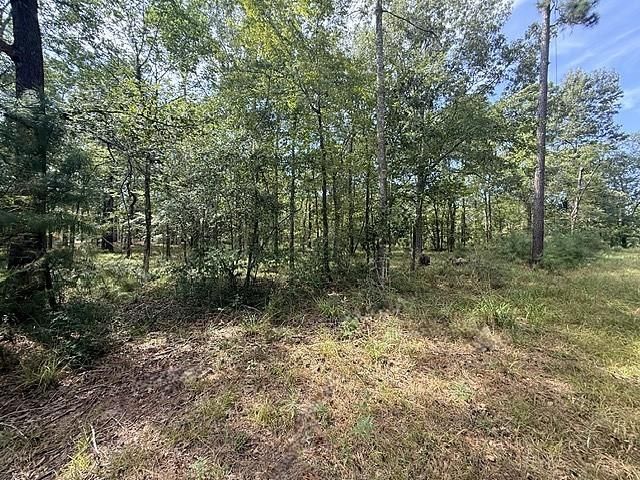 TBD Kings Point Drive, Coldspring, TX 77331