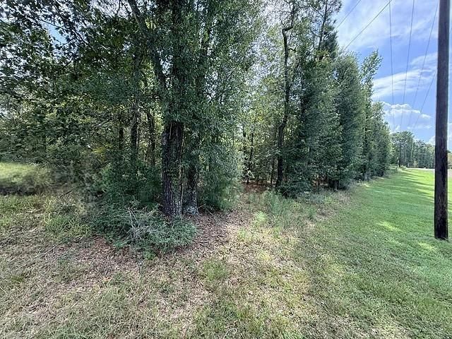 TBD Kings Point Drive, Coldspring, TX 77331