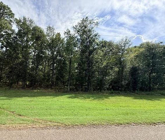 TBD Kings Point Drive, Coldspring, TX 77331