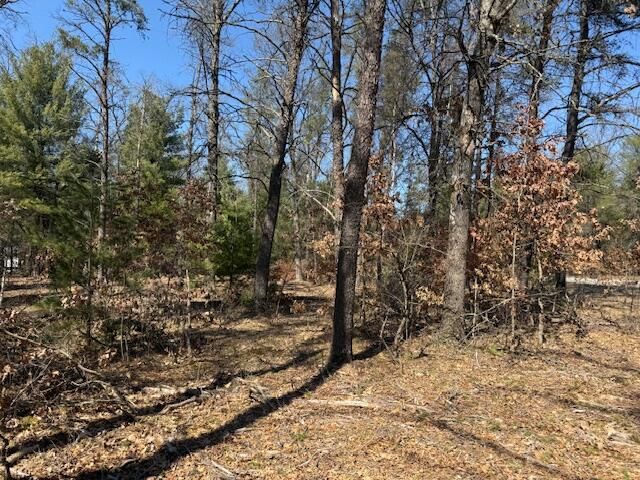 5209 S Nelson Road, Idlewild, MI 49642