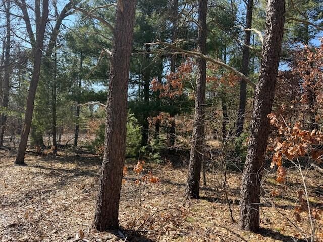 5209 S Nelson Road, Idlewild, MI 49642