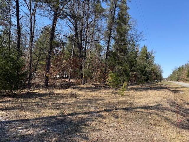 5209 S Nelson Road, Idlewild, MI 49642
