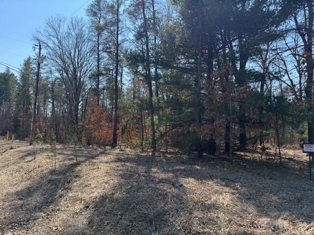 5209 S Nelson Road, Idlewild, MI 49642