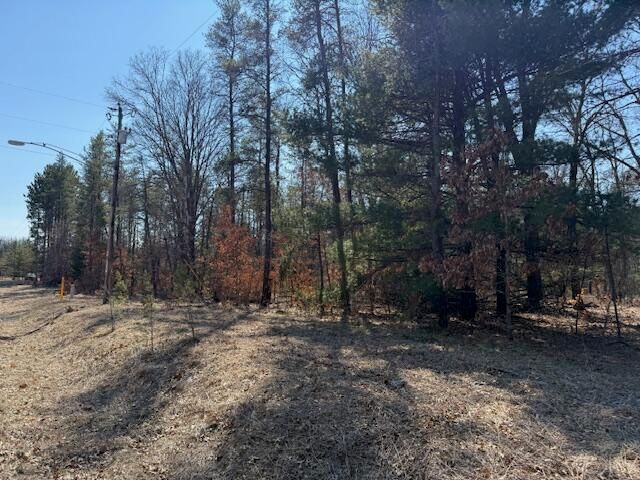 5209 S Nelson Road, Idlewild, MI 49642