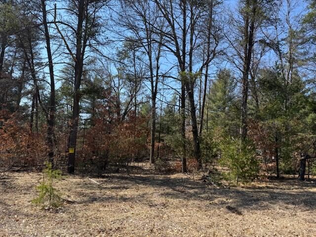 5209 S Nelson Road, Idlewild, MI 49642