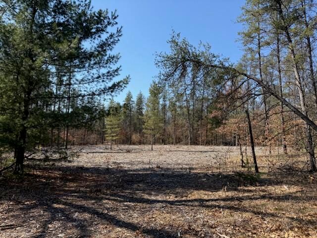 5209 S Nelson Road, Idlewild, MI 49642