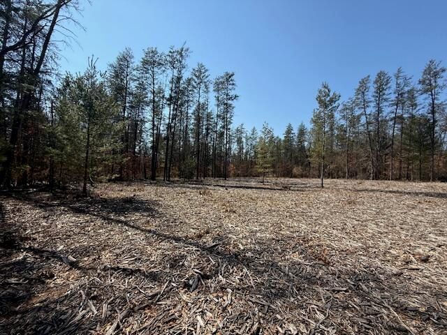 5209 S Nelson Road, Idlewild, MI 49642