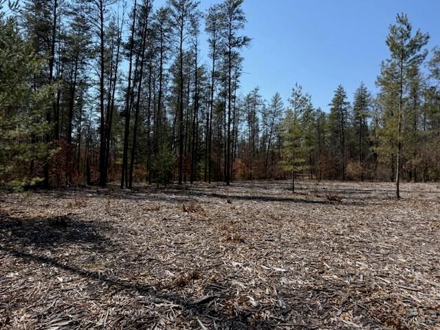 5209 S Nelson Road, Idlewild, MI 49642