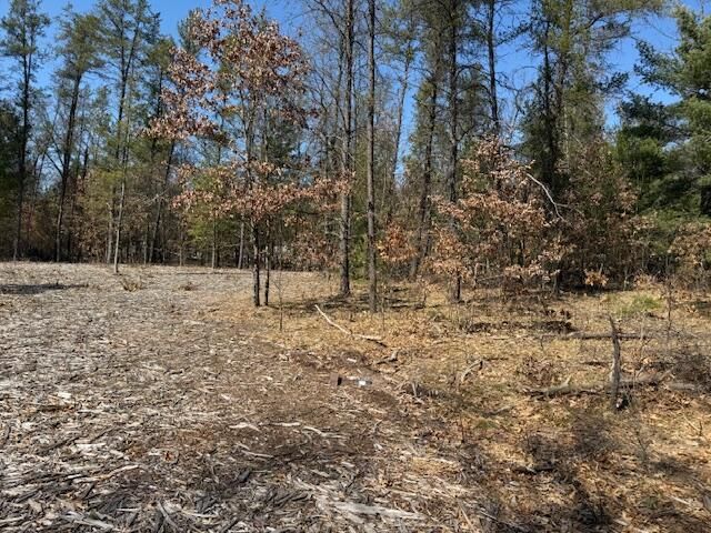 5209 S Nelson Road, Idlewild, MI 49642