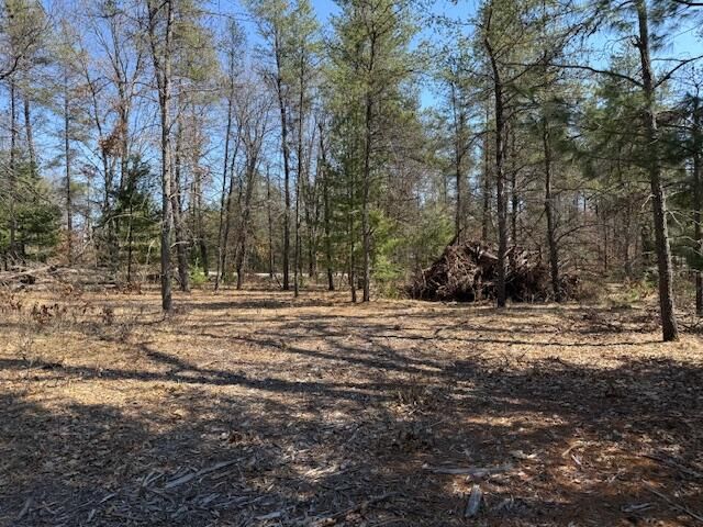 5209 S Nelson Road, Idlewild, MI 49642