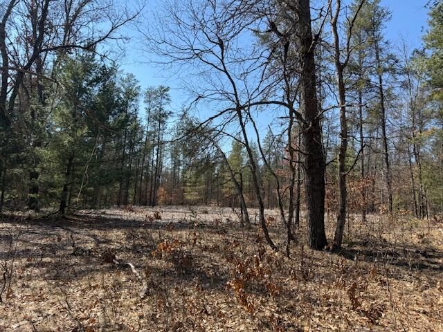 5209 S Nelson Road, Idlewild, MI 49642