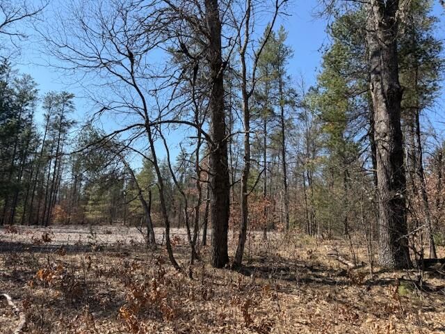 5209 S Nelson Road, Idlewild, MI 49642