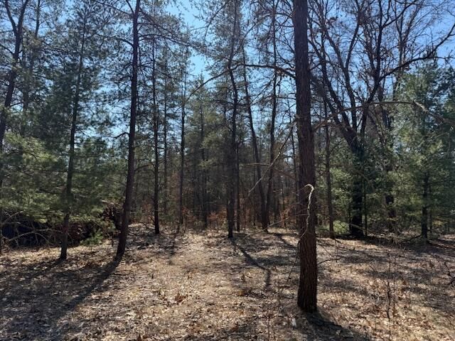 5209 S Nelson Road, Idlewild, MI 49642