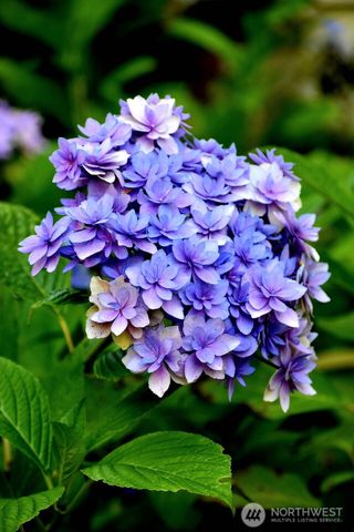 28220 71st Drive NW, Stanwood, WA 98292