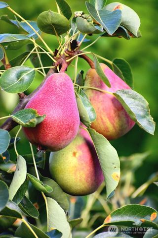 28220 71st Drive NW, Stanwood, WA 98292