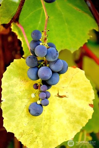 28220 71st Drive NW, Stanwood, WA 98292