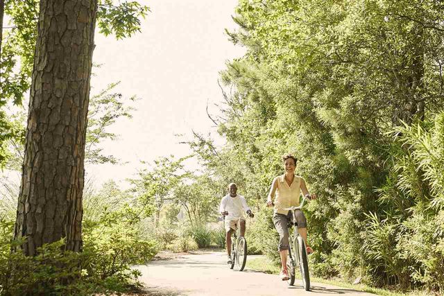 355 Kindred Spirit Dr, Longs, SC 29568