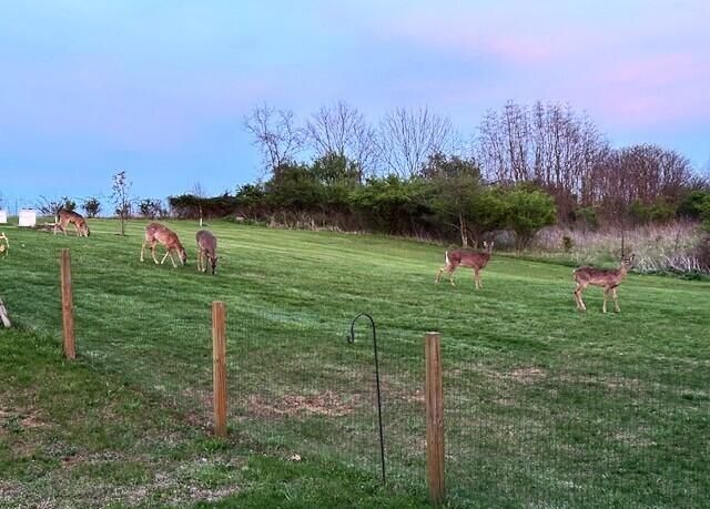 1453 Normans Camp Road, Harrodsburg, KY 40330