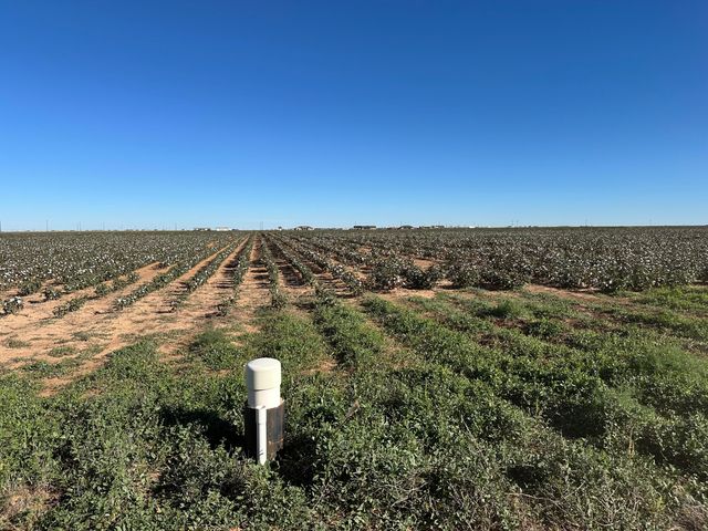 0 Co Rd 5200, Abernathy, TX 79311