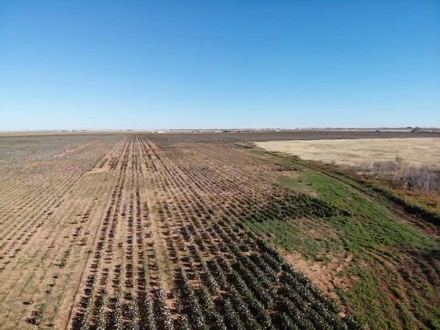 0 Co Rd 5200, Abernathy, TX 79311