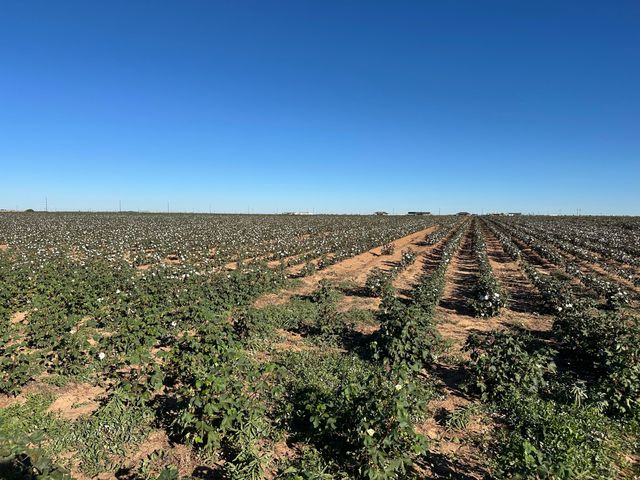 0 Co Rd 5200, Abernathy, TX 79311