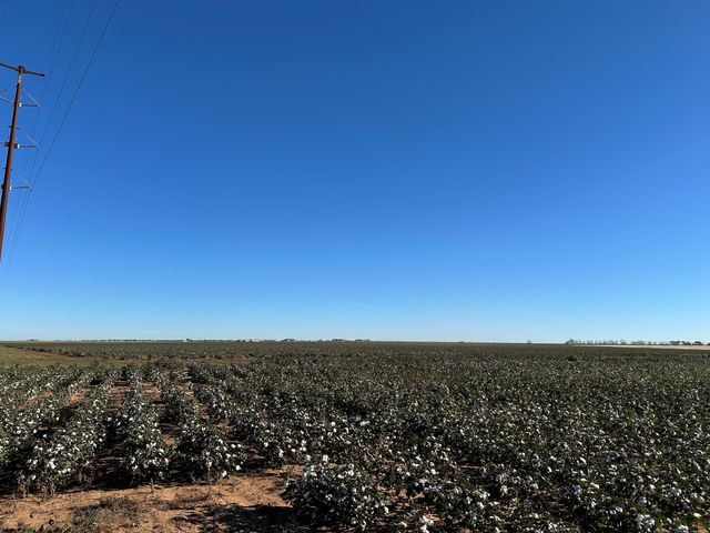 0 Co Rd 5200, Abernathy, TX 79311