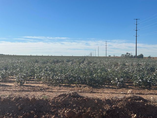 0 Co Rd 5200, Abernathy, TX 79311