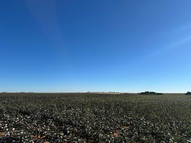 0 Co Rd 5200, Abernathy, TX 79311