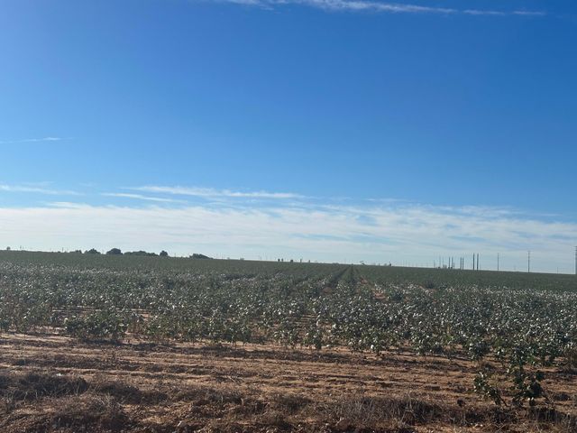 0 Co Rd 5200, Abernathy, TX 79311