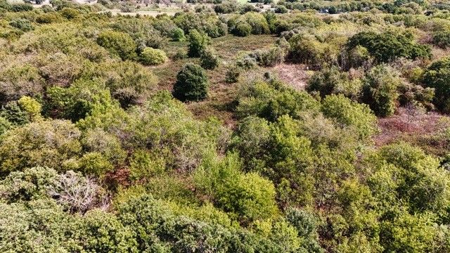 10261 County Road 606, Burleson, TX 76028